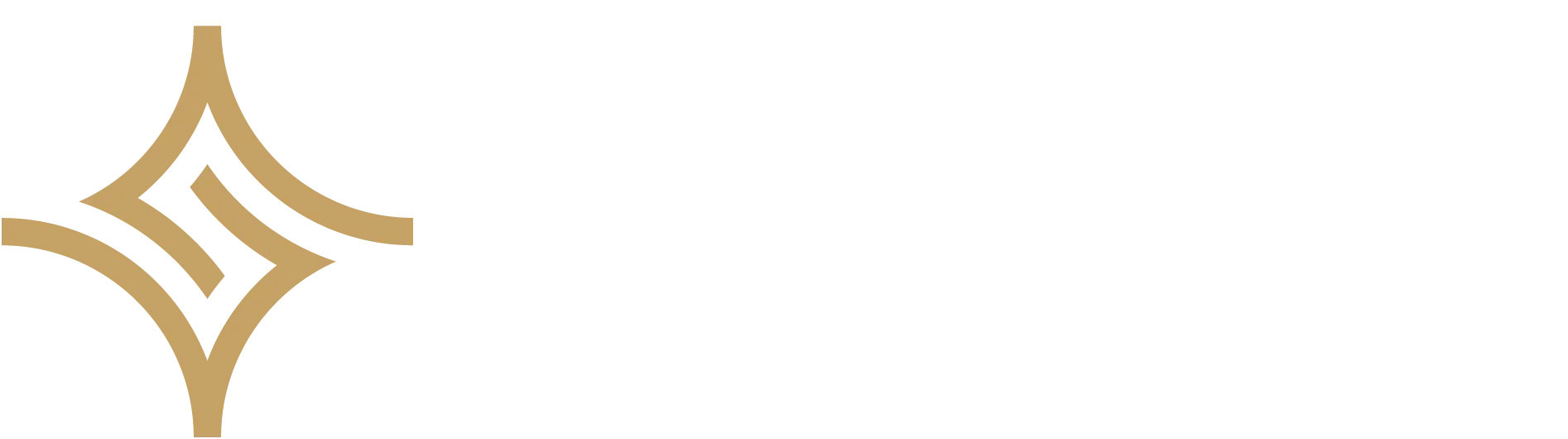 SilveRise Logo